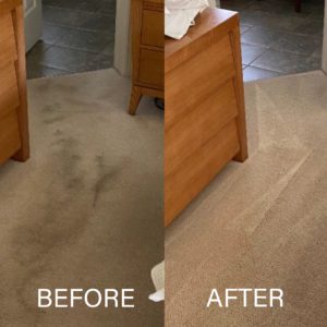 carpet cleaning