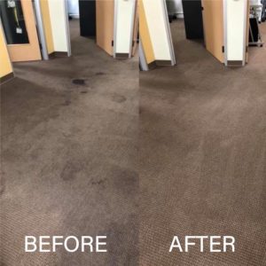 carpet cleaning